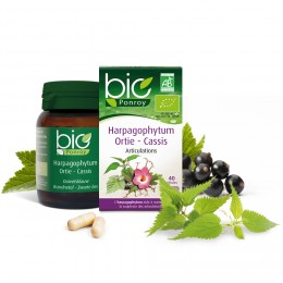 Harpagophytum - Ortie - Cassis Bio